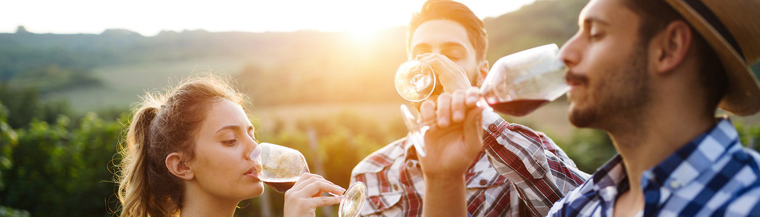 Two men and one woman sample wine